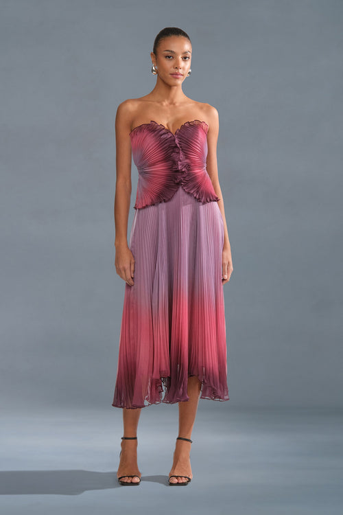 Delyth Strapless Dress