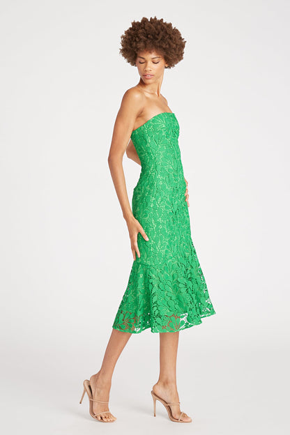 Amabella Day Dress
