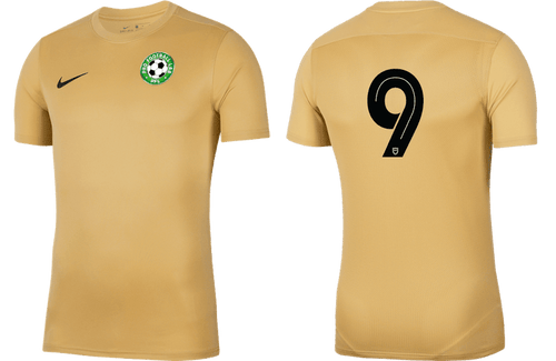 PRO FOOTBALL LAB Men's Park 7 Jersey (BV6708-729) PRO FOOTBALL LAB Nike Club Zone