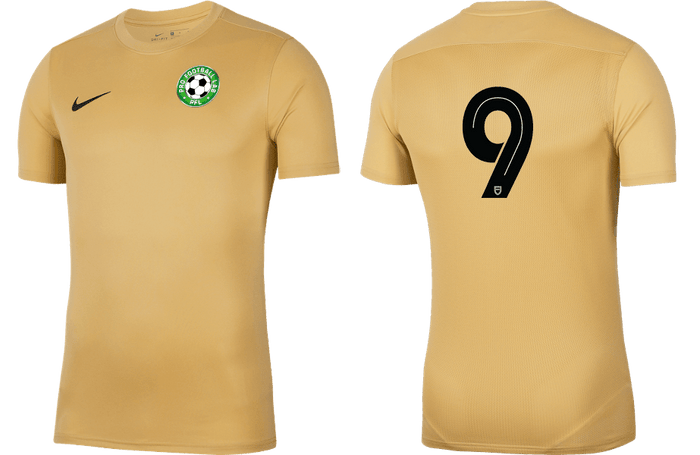 PRO FOOTBALL LAB Youth Park 7 Jersey (BV6741-729) PRO FOOTBALL LAB Nike Club Zone