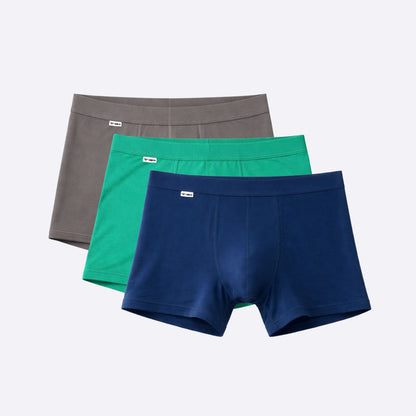 The Bulge Brigade Boxer Brief Limited Edition 3-Pack